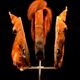 Image for article titled This is what a skinless elephant and a shark made out of blood vessels look like